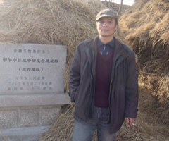 北极苍狼